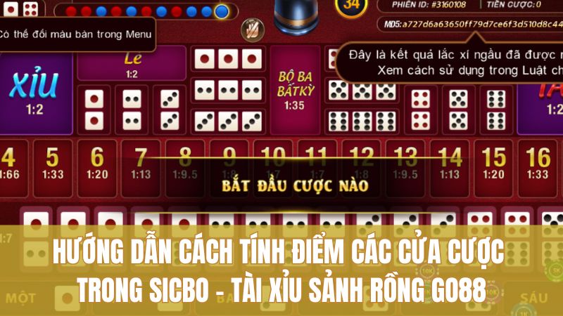 Hướng dẫn cách tính điểm các cửa cược trong SICBO – Tài Xỉu Sảnh Rồng Go8